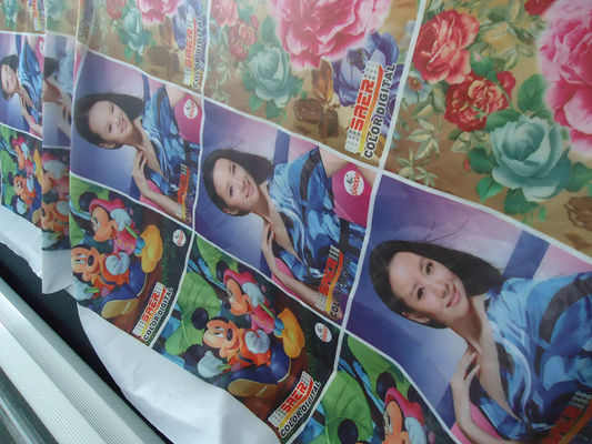 100 ٪ البوليستر ويندوز الستار / العلم النسيج 110-250 G / GSM