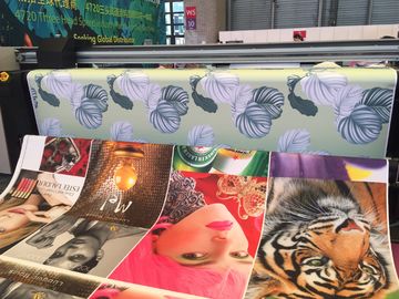 5500W إجمالي الطاقة رأس الطابعة Epson مع رأس الطباعة Epson 3 Roll to Roll نوع اللوحة