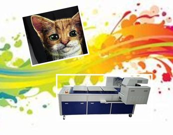 الرقمية تي شيرت آلة الطباعة مباشرة إلى طابعة الملابس مع 8 رؤساء RICOH الطباعة