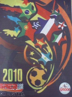 100 ٪ البوليستر النسيج الطباعة الرقمية لجعل الريشة العلم مباشرة